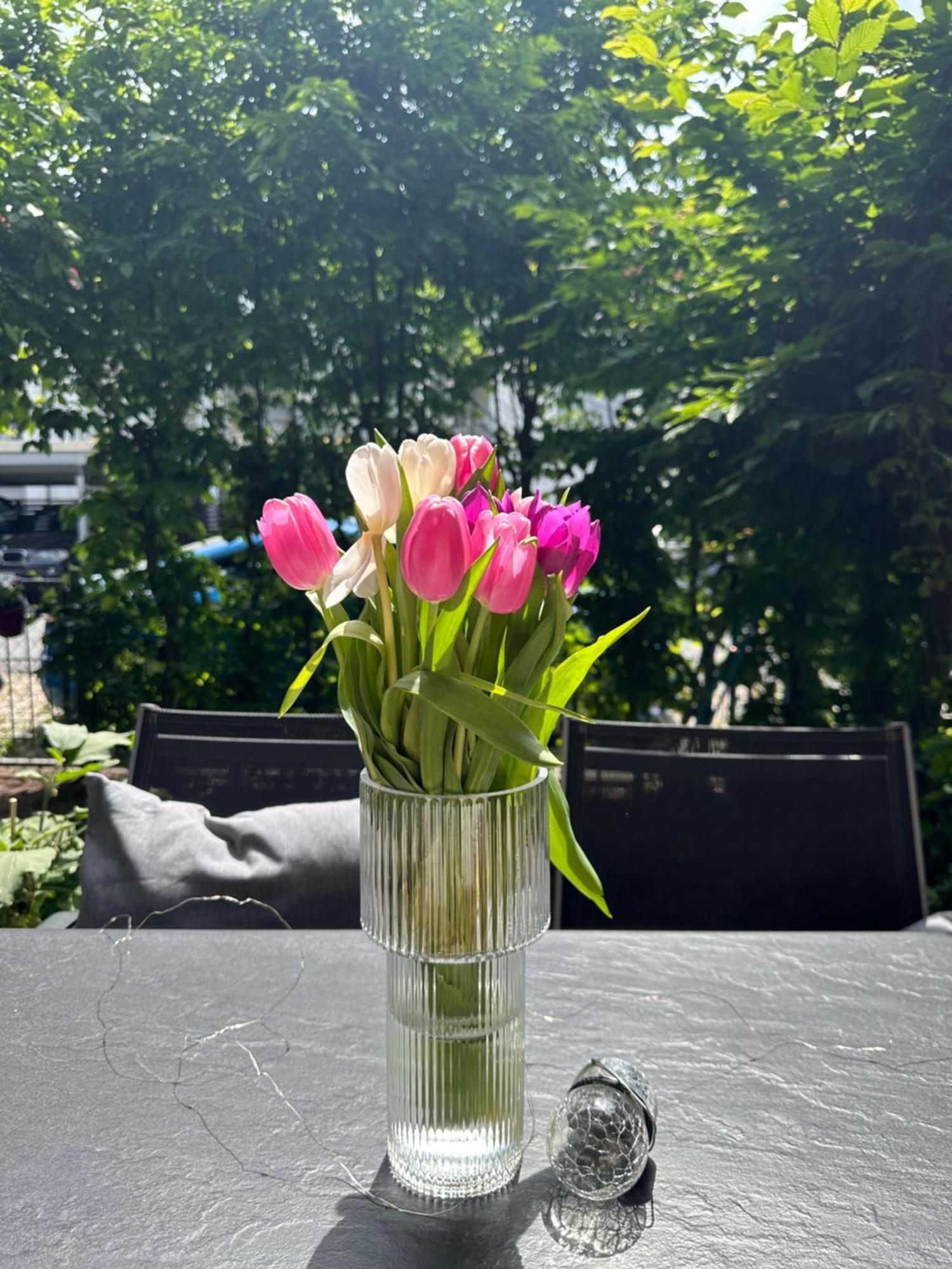 Luxus I Wohnkueche I Garten I Terrasse I Parkplatz Fürth Exterior foto